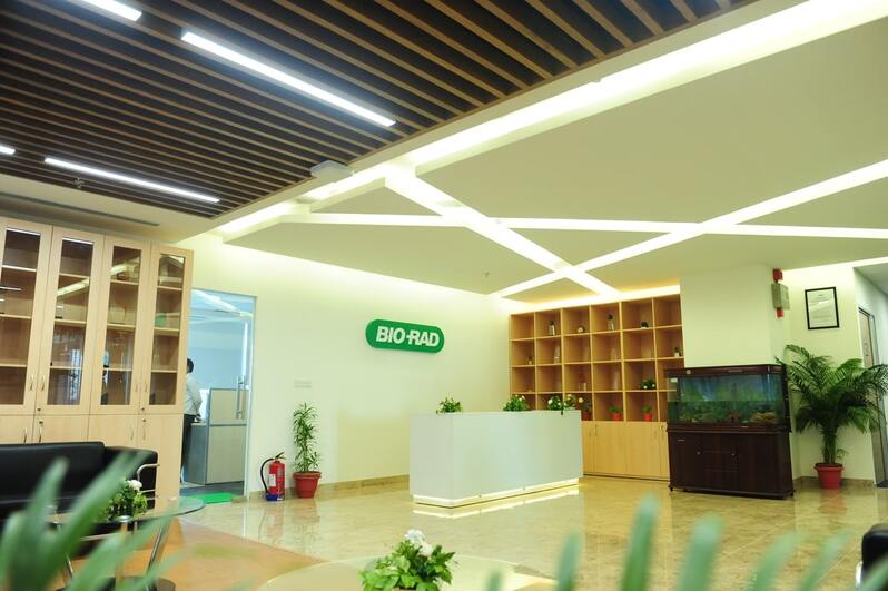 Wooden Ceilings Design