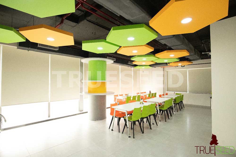 Green Ceilings Design